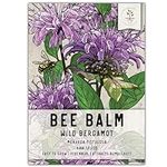 Seed Needs, Wild Bergamot Bee Balm Seeds - 400 Heirloom Seeds for Planting Monarda fistulosa - Attracts Honeybees, Bumblebees, Butterflies & Other Pollinators (1 Pack)