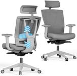 Autonomous ErgoChair Pro Grey Foam 