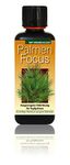 Palm Focus Fertiliser 300ml Liquid Fertilizer Concentrate Pot Palm Tree Palm Tree Fertilizer Plant Food