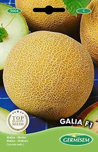 Galia F1 Semi di Melone 6 semi