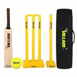 THE VILLAIN Wooden Cricket Bat Set for Boys & Men, Maple Wood, Size-5 | Set of Bat, Ball, Wickets & Kit Bag