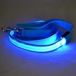 Led Dog Leash, Luminous USB Chargin