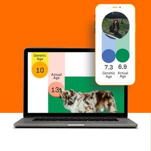 DNA My Dog Breed Identification Test – At-Home Canine DNA Kit