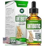 Natural Antibiotics for Cats | Cat 