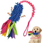 wodoca Dog Tug Toy,Dog Toys for Agg