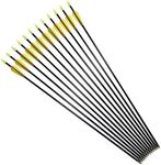 RedOak 30 inch Archery Arrows for Recurve Bow Fiberglass Target Practice (6 pcs)