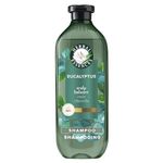 Herbal Essences Pure Plants Eucalyptus Sulfate Free Shampoo, Scalp Balance, with Certified Camellia Oil and Aloe Vera, For All Hair Types, Especially with Dry Scalp, 400 mL