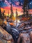 Buffalo Games - Forest Magic Hour - 1000 Piece Jigsaw Puzzle for Adults Challenging Puzzle Perfect for Game Nights - 1000 Piece Finished Size is 26.75 x 19.75