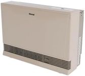 Rinnai EX38DTN Direct Vent Wall Fur