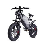 RZOGUWEX Electric Bicycle，20 Inch Off-Road EBIKE for Adults with 48V 25AH Detachable Lithium Ion Battery, Dual Hydraulic Disc Brake with Forged Mags Wheel