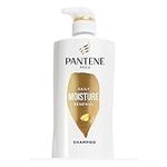 Pantene Shampoo for Dry Hair, Daily Moisture Renewal, Safe for Color-Treated Hair, 530 mL