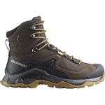 Salomon mens Quest Element GTX Delicioso/Black/Dull Gold Hiking Shoe - 7 UK (L47216100)