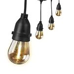 Feit Electric LED String Lights, 20