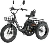 Skeri Electric Tricycle for Adults,