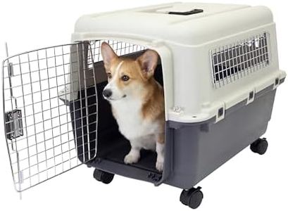 SportPet A