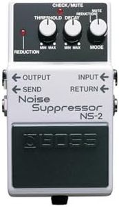 Boss NS-2 