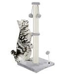 32" Tall Cat Scratching Post for In