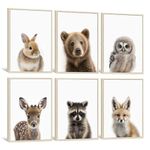 Nursery Animal Wall Art Pictures Baby Safari Canvas Wall Decor Jungle Woodland Wall Art Cute Animal Prints Paintings Nursery Kids Posters for Boys Girls Room Bedroom 8x10 Inch Framed Set of 6