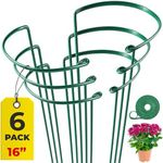 Tall Plant Support Stakes – Plant Stakes for Indoor Plants and Outdoor - Peony Cages and Supports - Plant Cage Ring for Potted Flower - Peony, Tomato, Hydrangea, Rose Bush 10" W x 16" H (6 Pack)