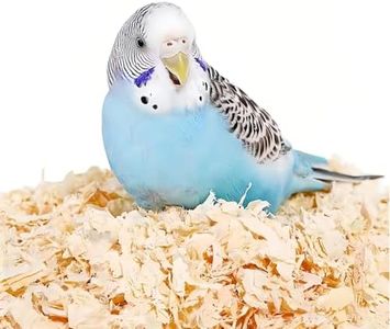 MANON ROSA Small Animal Bedding - Natural Pine Softwood Shavings Pet Bedding - Low Dust Odor Control for Birds Parrots Parakeets Guinea Pigs Rabbits Hamsters (0.33lb)