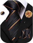 Hi-Tie Black Gold Ties for Men Stri