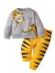 Indhrani Cotton T-shirt and Jogger Set for Baby Boys & Baby Girls | Printed Full Sleeves Clothing Set for Kids