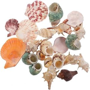 Mumoo Bear Mixed Sea Shells, 200g Beach Seashells Starfish, Various Sizes Ocean Seashells for Fish Tank Vase Fillers, Beach Theme Party Wedding Decor, Candle Making, DIY Crafts, Home Decorations