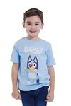 Bluey Matching Family T-Shirt Toddler to Adult Sizes (2T - 3XL), Bluey, Blue, 10-12