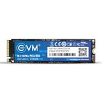 EVM M.2 NVMe Internal SSD (2280) - 3000MB/s Read - PCIe Interface Gen 3x4-4X Faster Than SATA SSD- 5 Year Warranty, (EVMNV/256GB)