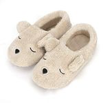 Soft Plush Slippers with Super Cute Cartoon Bear for Autumn Winter Spring Beige(36-37)