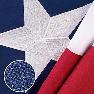 Texas Flag