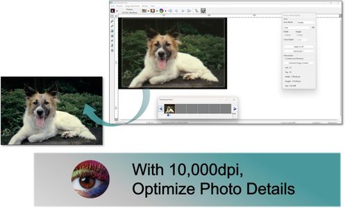 Pacific Image PowerSlide X Plus 35mm Slide Scanner – High-Resolution Film Digitizer