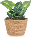 Gadpiparty flower pot flower basket