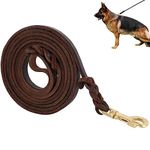 Premier Braided Leather Dog Leash 6/8/10 ft for Strong Medium Large Dogs, Leather Heavy Duty Training Leash (10FT)