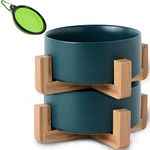 Petygooing 28 OZ Green Medium Ceramic Dog Cat Bowl Dishes with Stand for Food and Water,Modern Cute Heavy Pet Bowls Set of 2 for Cats Small Dog (1.7 Cups) & Medium Dogs (3.6 Cups)