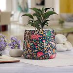 Amazon Bazaar - Meena Planter Pot Home & Decor Planter Indoor Outdoor Plant Pot (Multicolour)