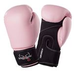 Century Boxing Gloves