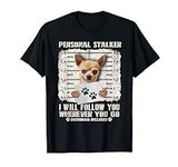 Personal Stalker Chihuahua Dog Arre