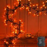 TURNMEON 6 Ft 54 LED Halloween Willow Vine Twig Decorations Branches Garland with Timer Orange Lights 8 Modes Waterproof Battery Operated for Wall Bedroom Home Fireplace Mantle Indoor Halloween Decor