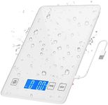 AMIR Digital Kitchen Scale, 10kg/22