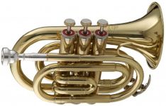 Stagg WS - TR245 Bb Pocket Trumpet with Case 6.00 x 3.00 x 8.00 inches