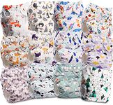 Littles and Bloomz Baby Reusable Pocket Nappy Cloth Diaper, Standard Popper, 12 Nappies, FLP2-1201