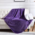 Yaning Waterproof Blanket for Bed Couch Sofa, Soft Liquid Pee Proof Pet Blanket for Dog Puppy Cat, Reversible Sherpa Fleece Blanket for Furniture Protector (Dark Purple, 60"x80")