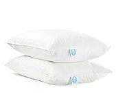 East Coast Bedding Cozy Dream Pillow, Hotel Collection King Size Set Down Pillows, Firm Support Pillows, White Insert Pillows, Set of 2