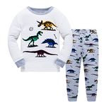 Little Boys Pajamas for Boys Pyjamas Kids Dinosaur Nightwear Sleepwear Long Sleeve Pjs Set , Dinosaur2, 2-3 Years