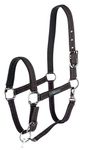 Horse Halter for Goleygo System, Black/Fuchsia, Cob