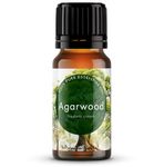 The Premium Nature Agarwood Essential Oil for Diffusers, Skin & Massage | 100% Natural | Warm & Ambery Scent - Perfect for Candle Making & DIY, 10 ML