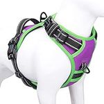 PHOEPET 2019 No Pull Dog Harness Me