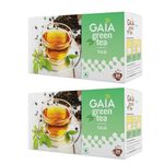 GAIA Tulsi Green Tea 25 Tea Bags|Antioxidants|Build Immunity|Fight Infections|Improving Metabolism|Detoxifying The Body|Regular Consumption Supports Weight Loss (220 Gram, Pack Of-2)