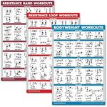 Palace Learning 3 Pack: Resistance Bands Exercise Poster + Resistance Loops Workouts + Bodyweight Exercises - Set of 3 Workout Charts (LAMINATED, 18" x 24")